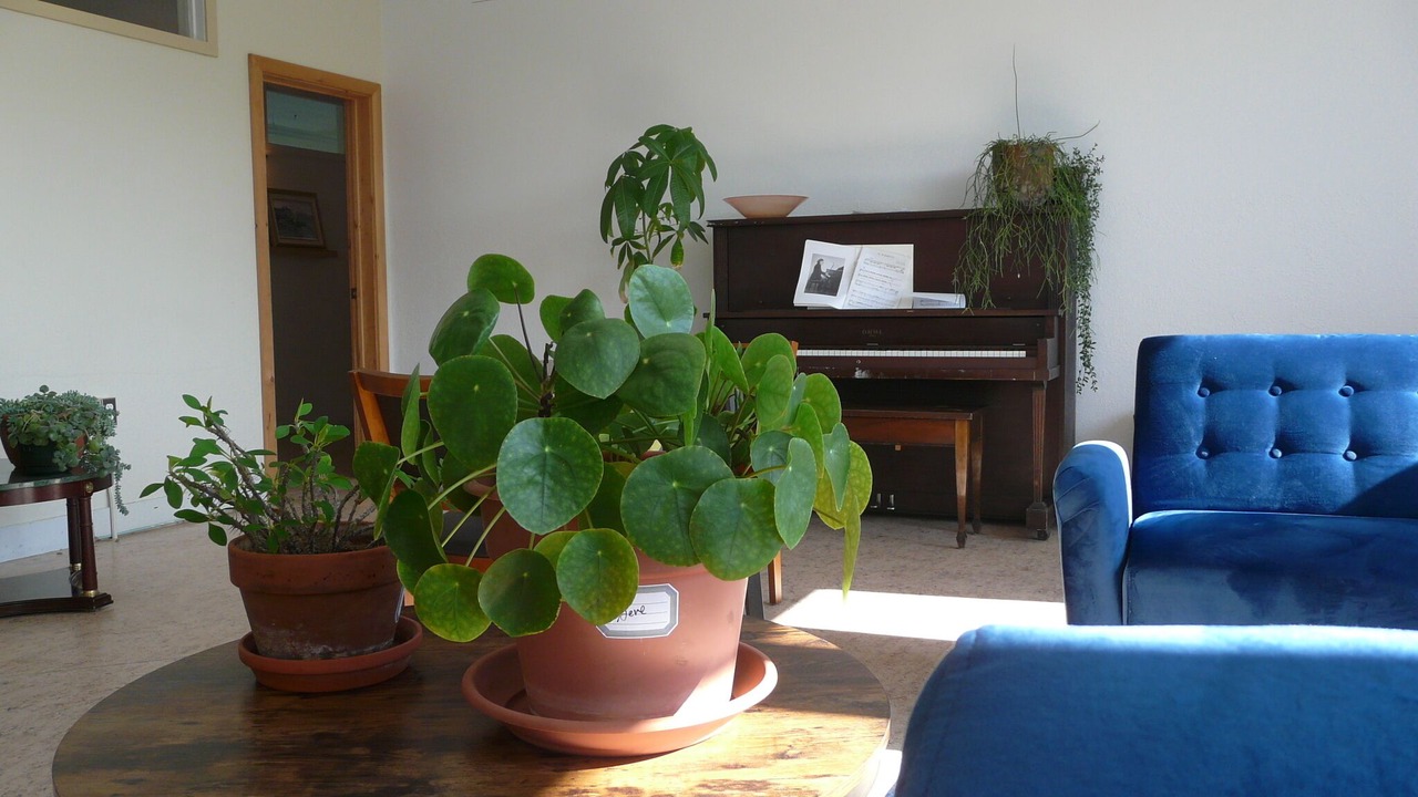 Photo of Livingroom in Cap-aux-Os