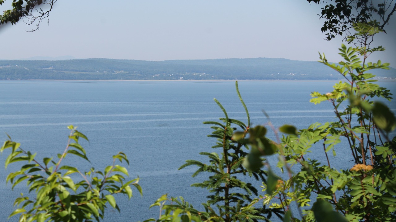 Photo of Outdoor in Cap-aux-Os