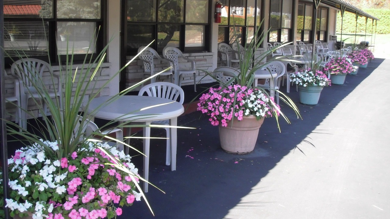 Photo of Patio Balcony in Ivy Lea