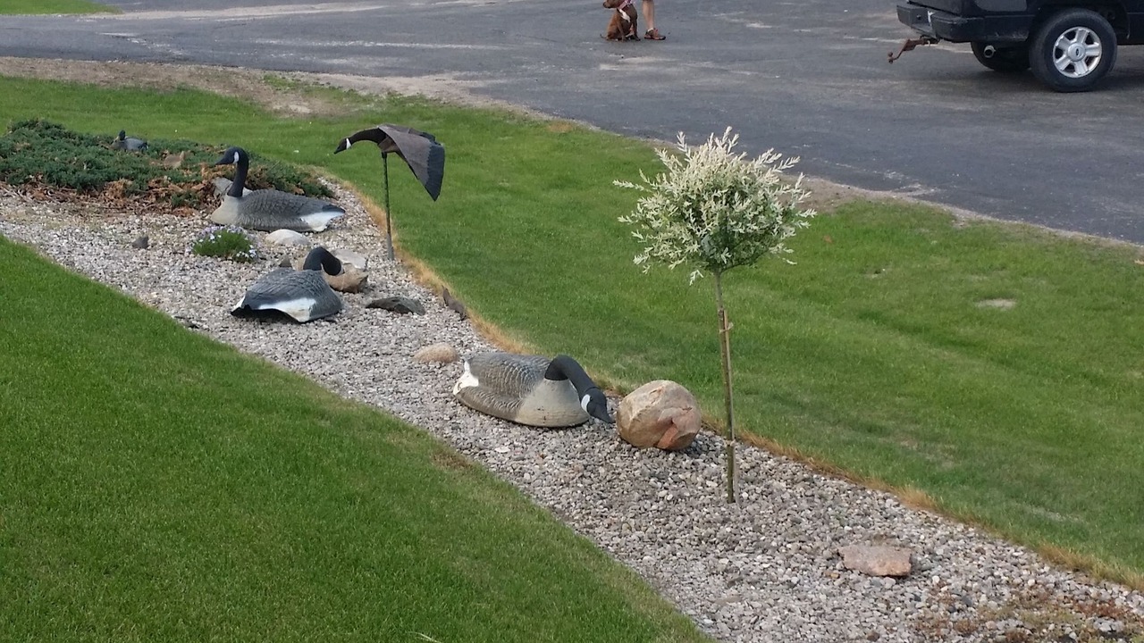 Photo of Others in Grayling