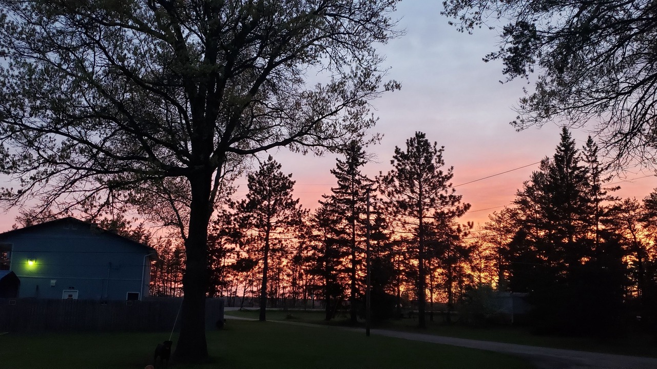 Photo of Outdoor in Grayling