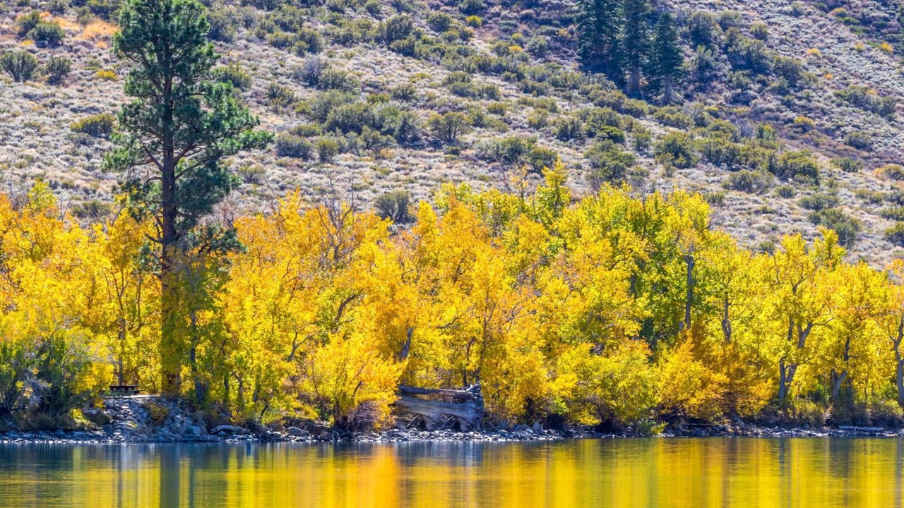 Photo of Outdoor in June Lake