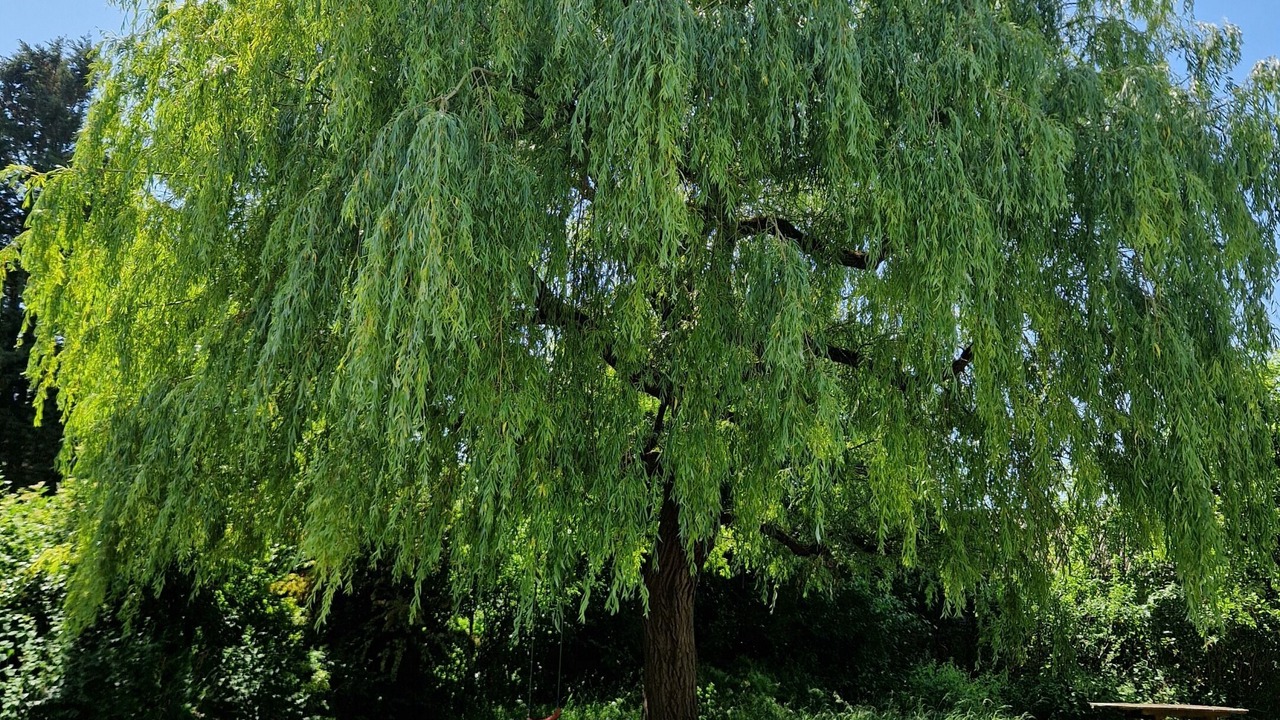 Photo of Outdoor in Wells