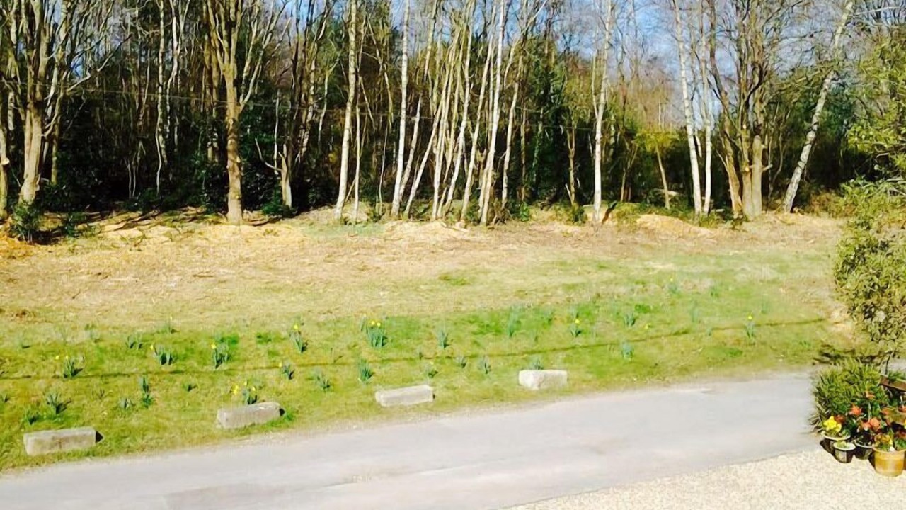 Photo of Others in Blackwater