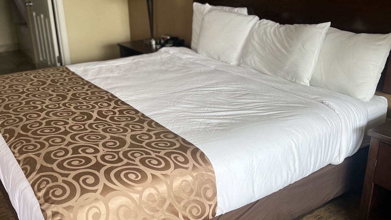 Photo of Others in Aberdeen