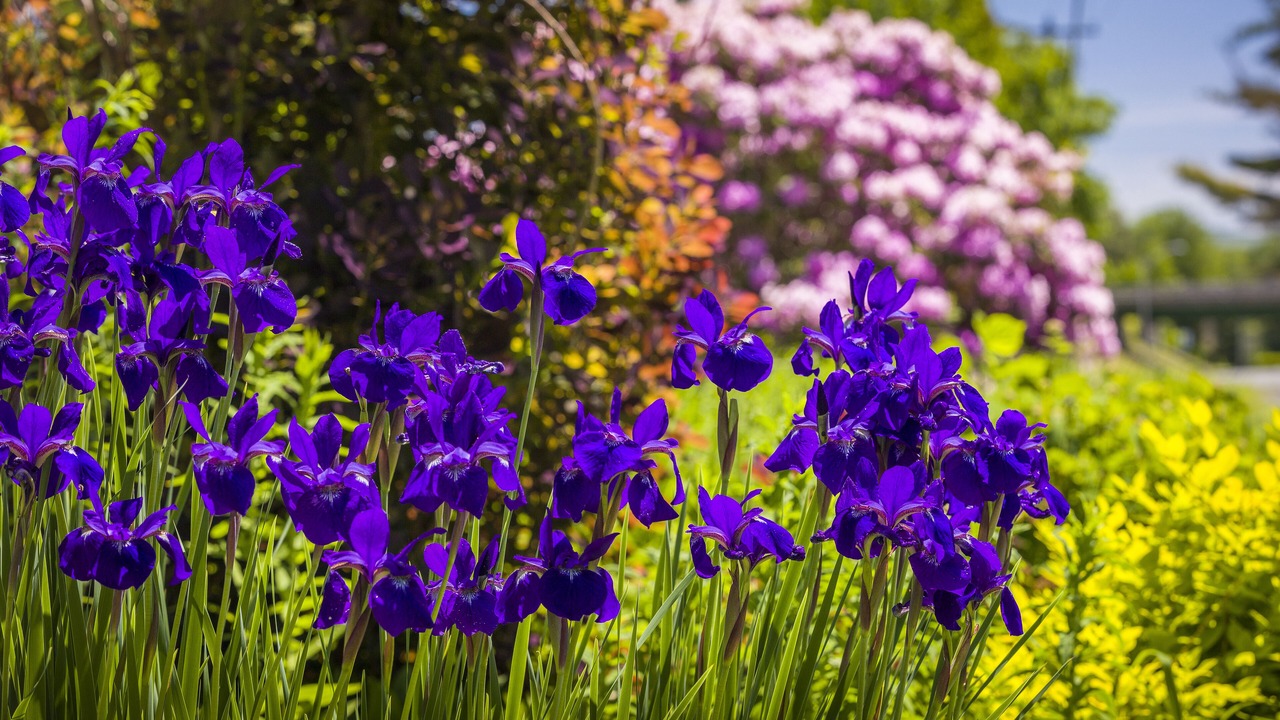 Photo of Outdoor in Fairlee