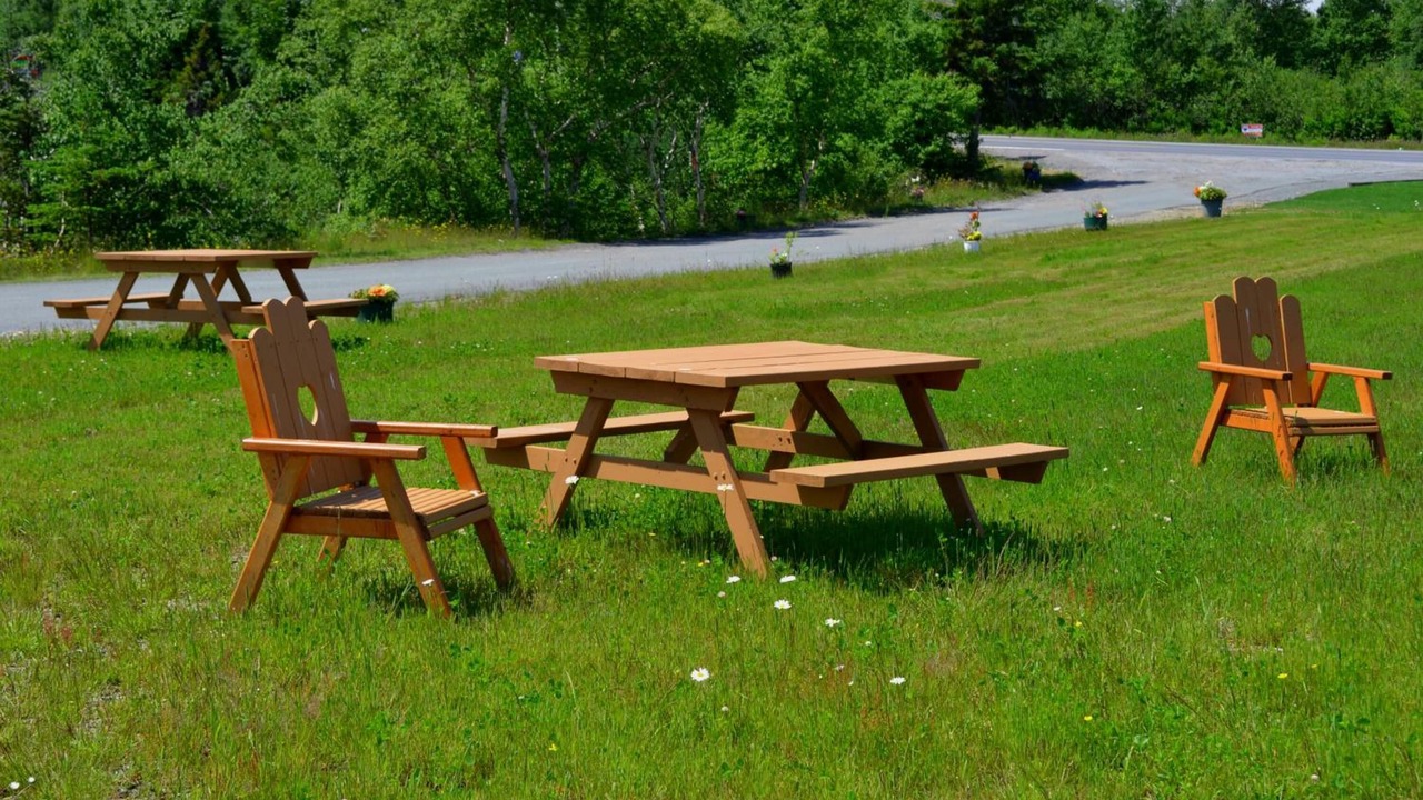 Photo of Outdoor in Bay Roberts