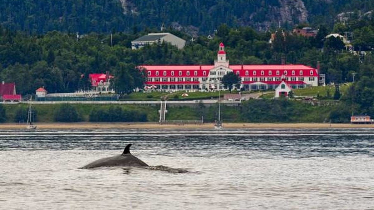 Photo of Others in Tadoussac
