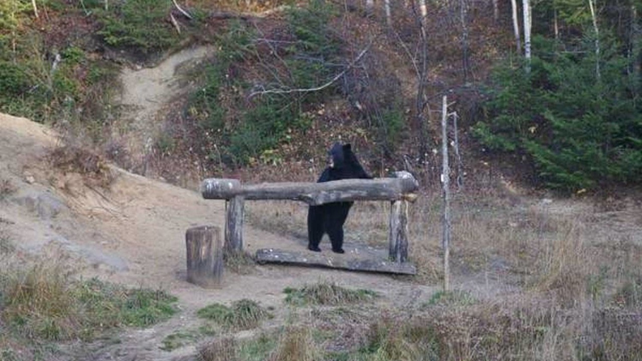 Photo of Others in Tadoussac