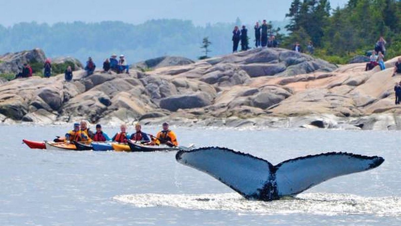 Photo of Others in Tadoussac