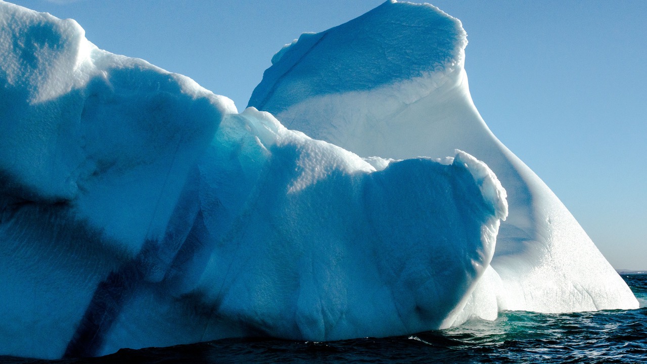Photo of Others in Steady Brook
