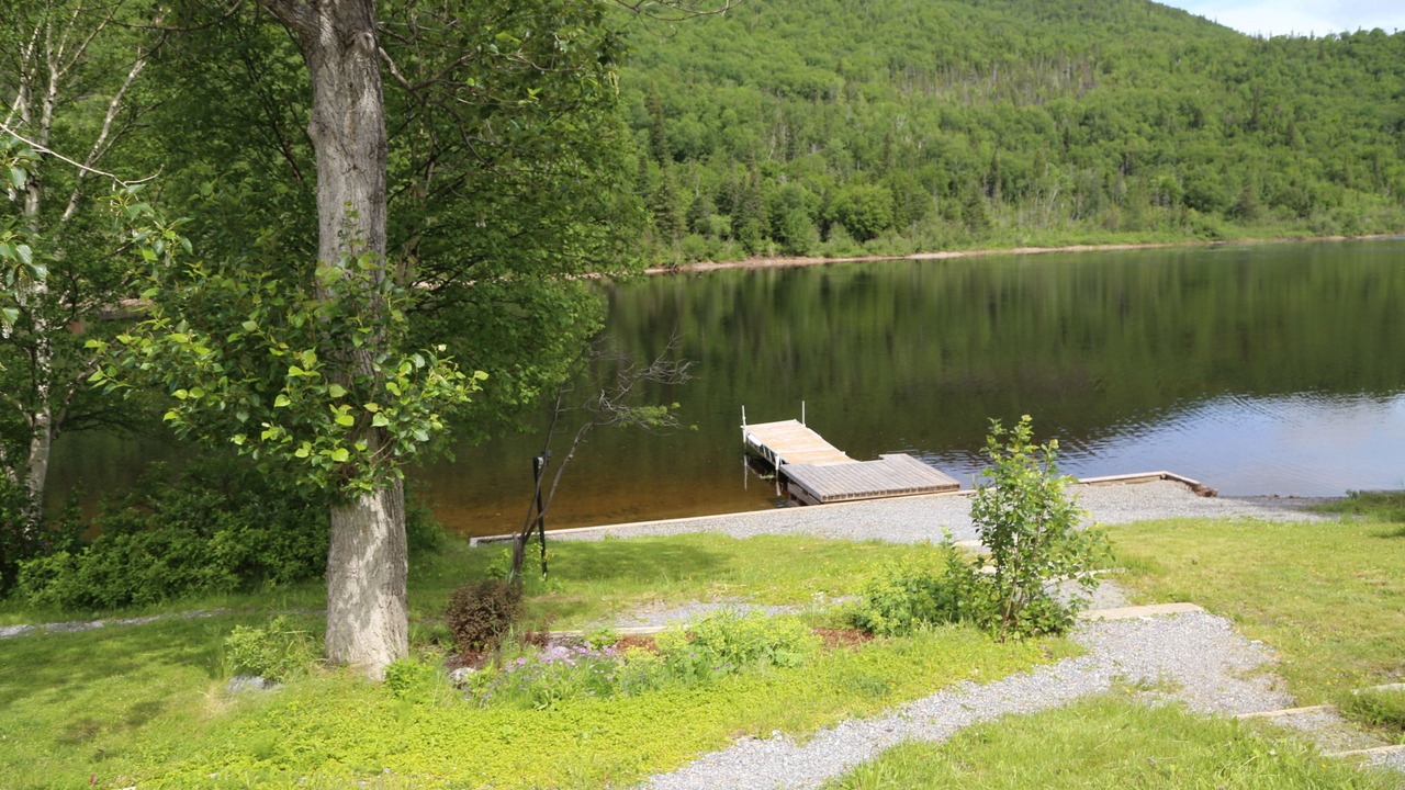 Photo of Others in Steady Brook