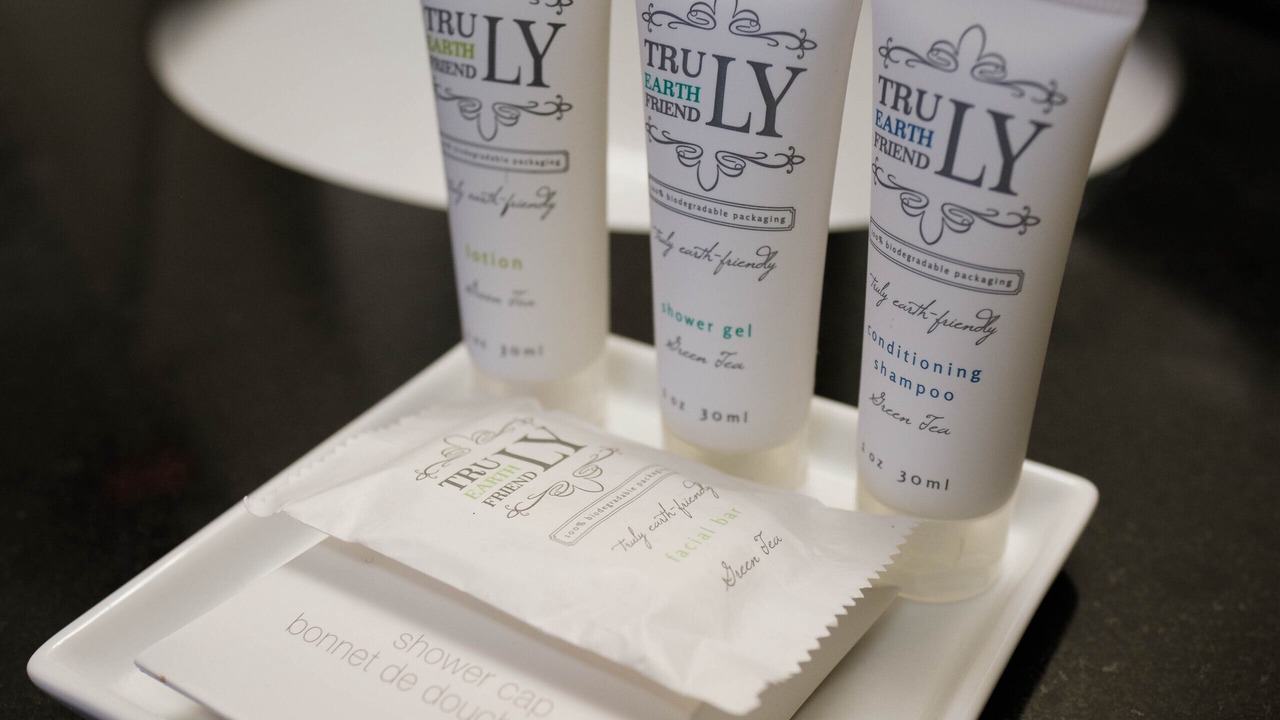 Photo of Others in Steady Brook