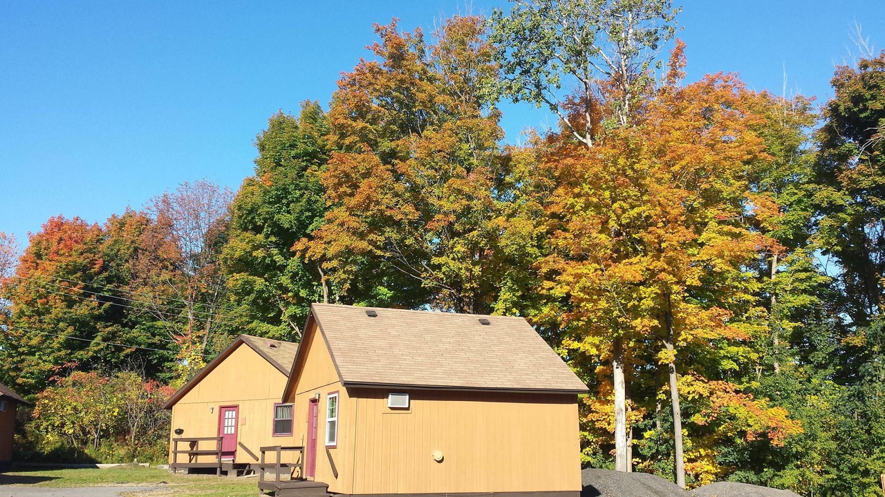 Photo of Outdoor in Town of Scriba