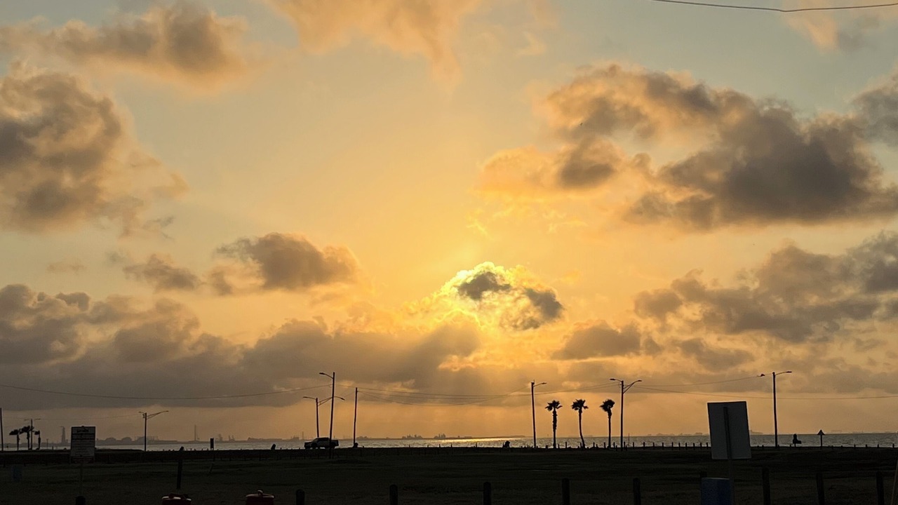 Photo of Others in North Beach