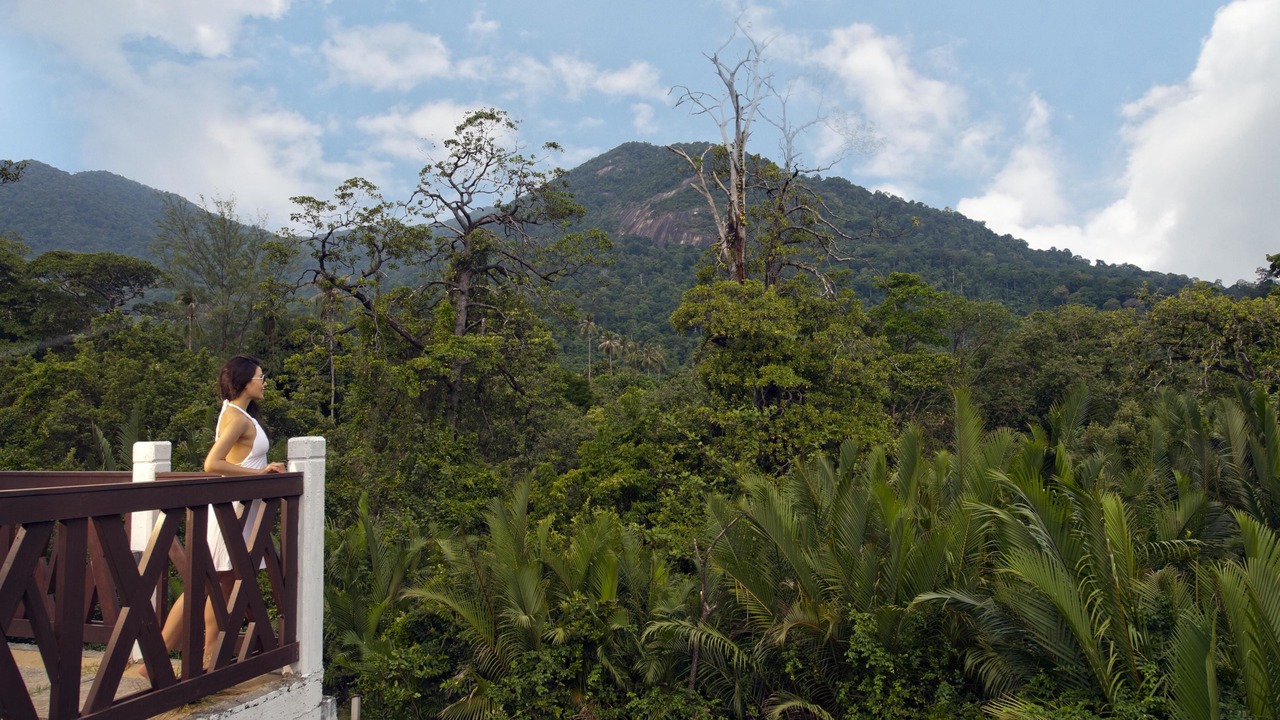 Photo of Others in Tioman Island