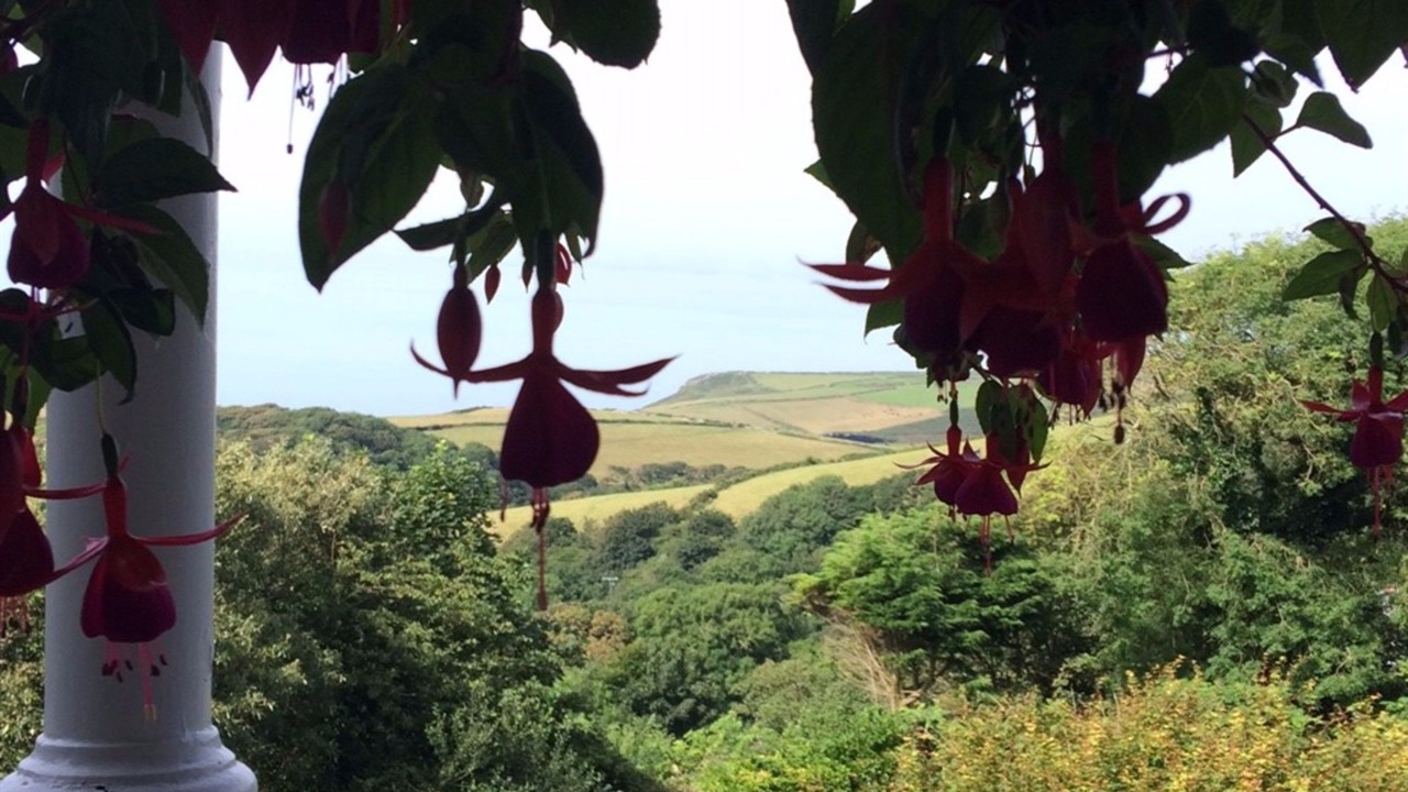 Photo of Others in Boscastle