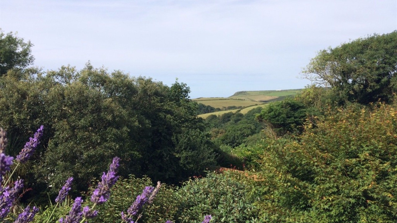 Photo of Outdoor in Boscastle