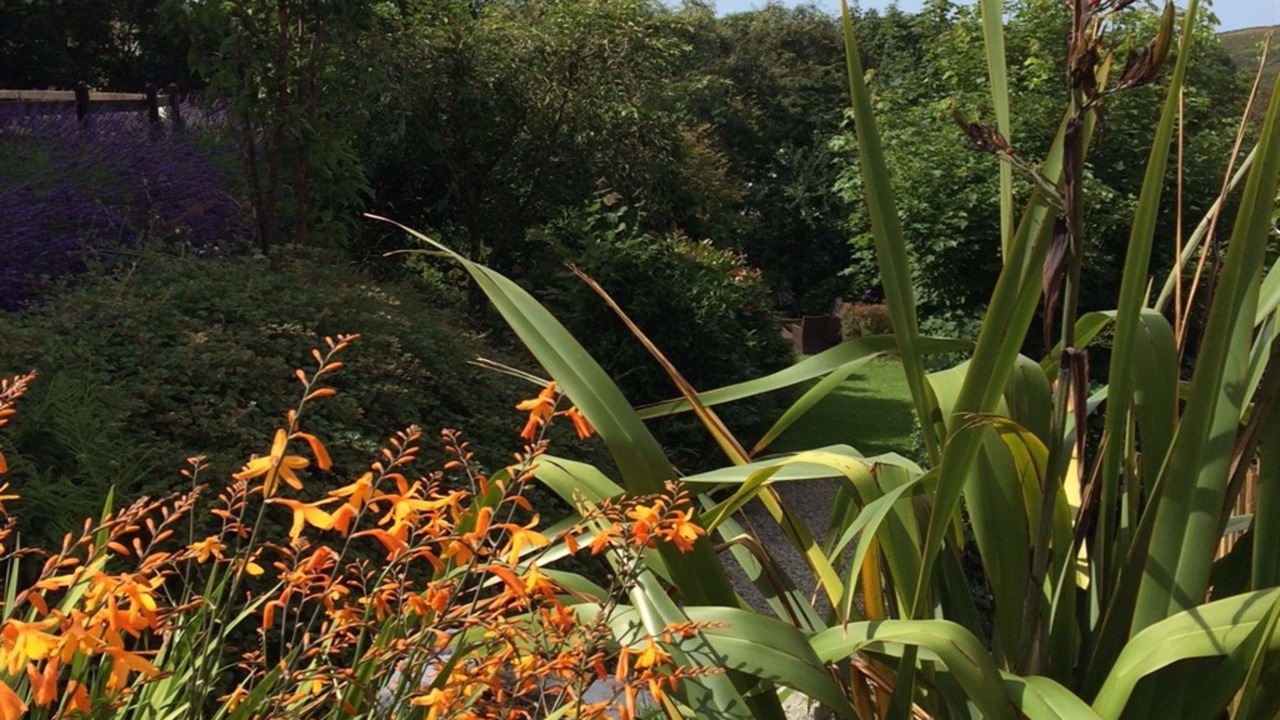 Photo of Others in Boscastle