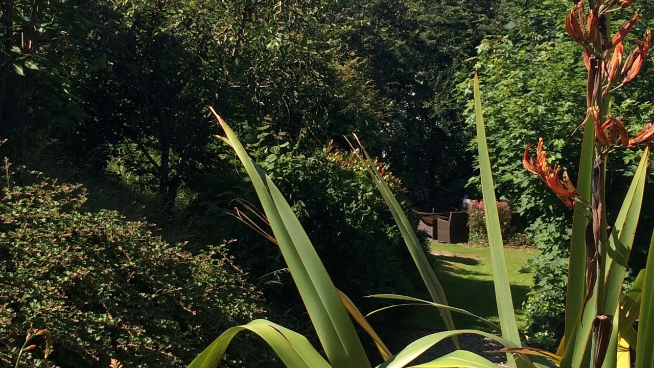 Photo of Outdoor in Boscastle