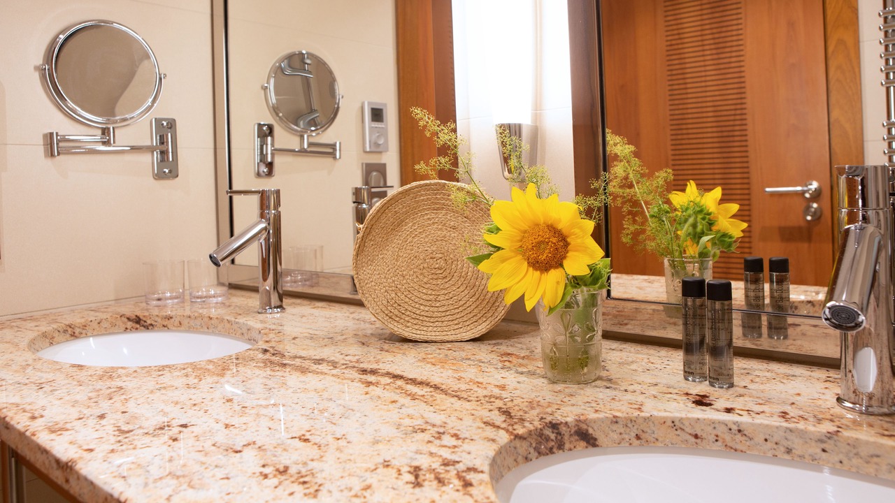 Photo of Bathroom in Vougeot