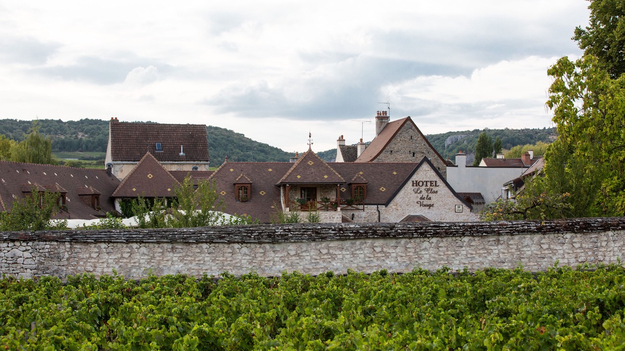 Photo of Outdoor in Vougeot