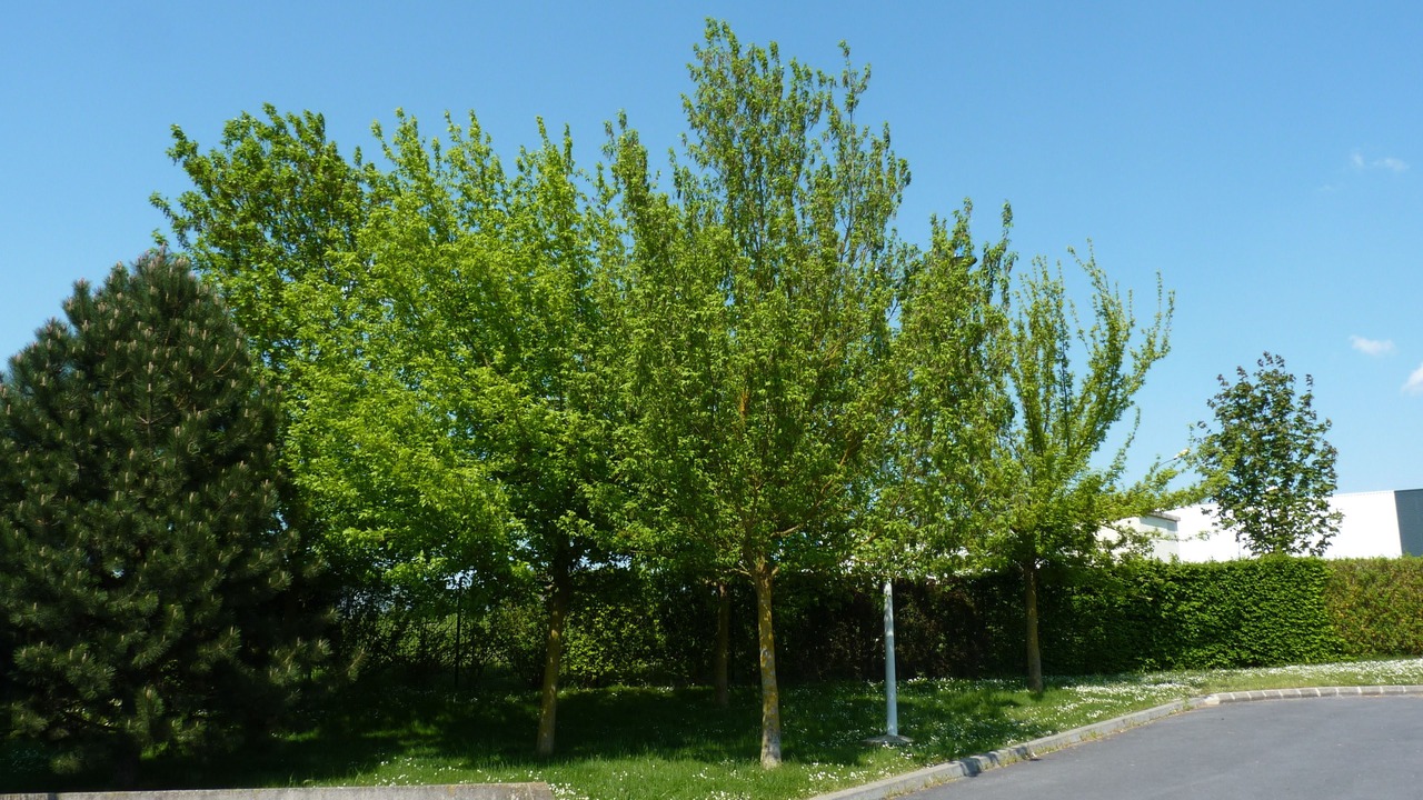 Photo of Outdoor in Chalons-en-Champagne