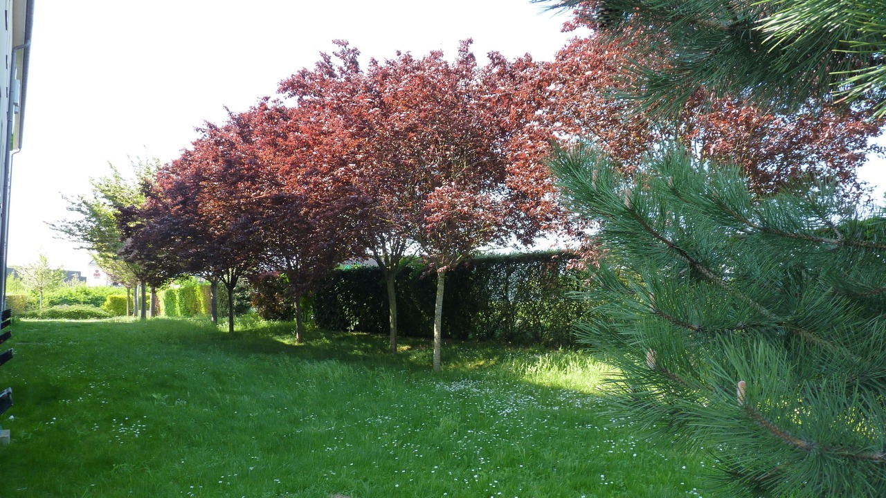 Photo of Outdoor in Chalons-en-Champagne