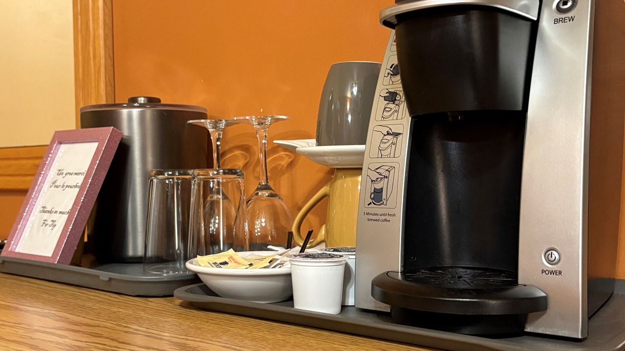 Photo of Others in Bonaventure