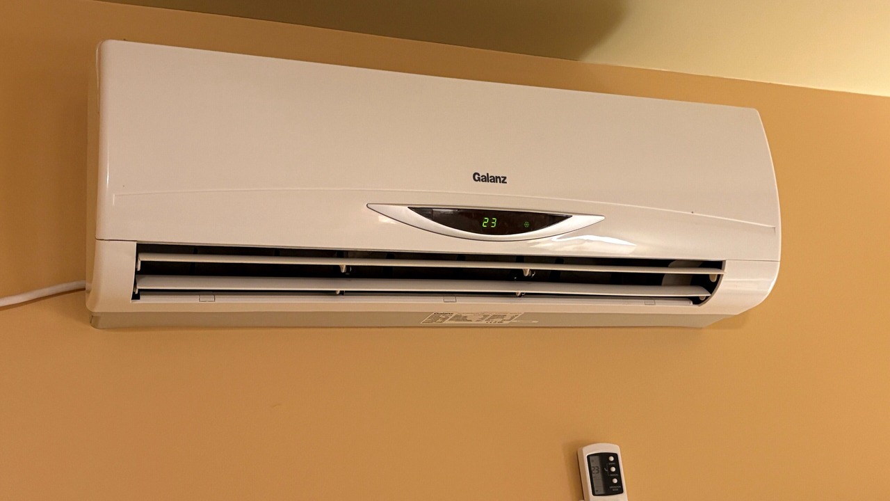 Photo of Others in Bonaventure