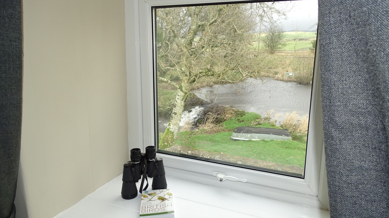 Photo of Bedroom in Rhydlydan