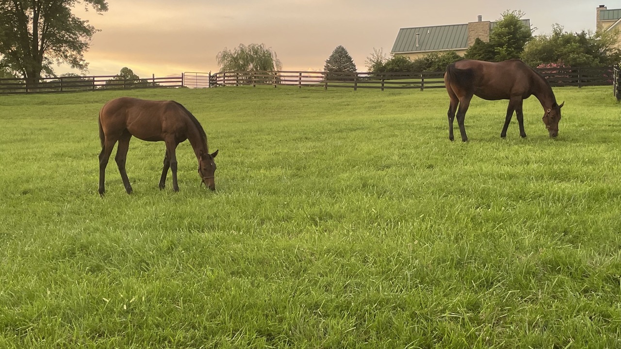 Photo of Outdoor in La Grange