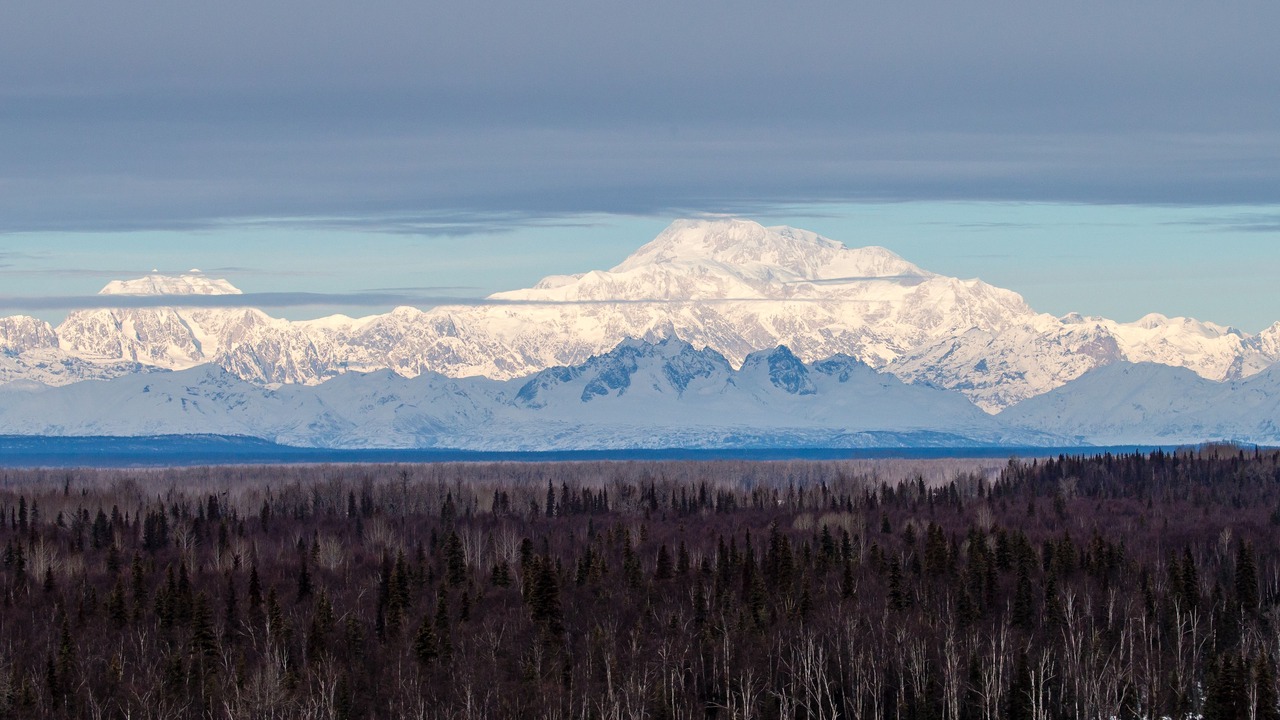 Photo of Others in Talkeetna