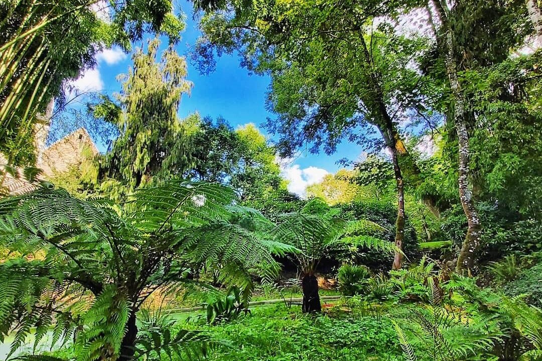 Photo of Outdoor in Bacilly