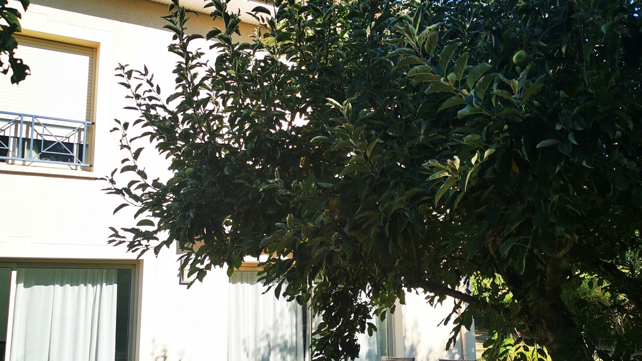 Photo of Patio Balcony in Guigneville-sur-Essonne
