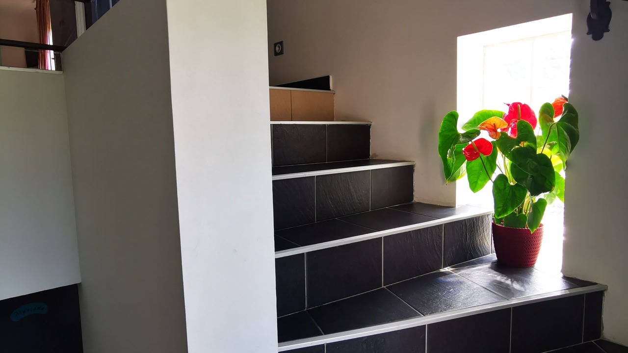 Photo of Others in Guigneville-sur-Essonne