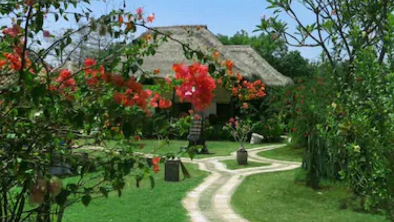 Photo of Outdoor in Pemuteran