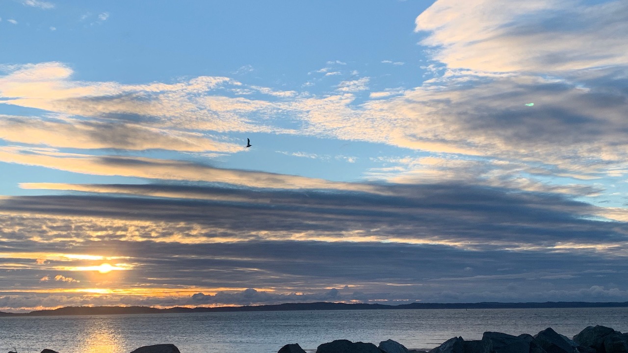 Photo of Outdoor in St. Andrews