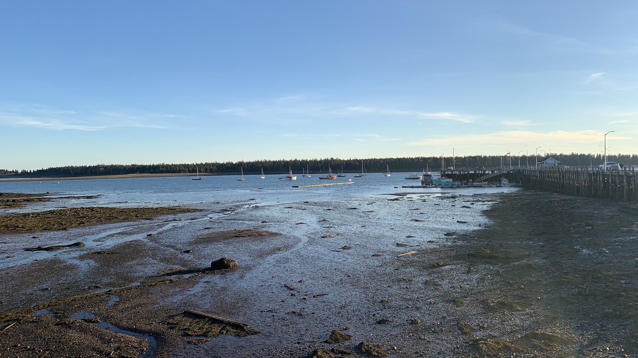 Photo of Outdoor in St. Andrews