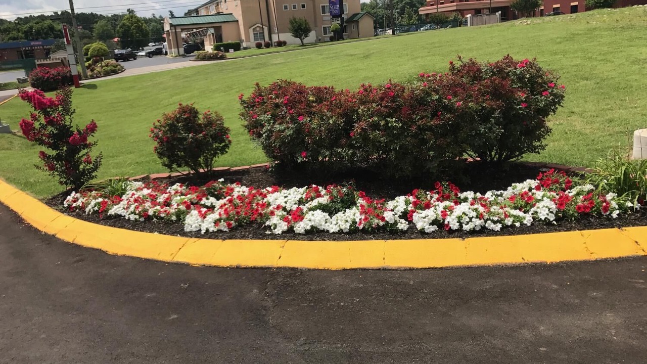 Photo of Outdoor in Nashville