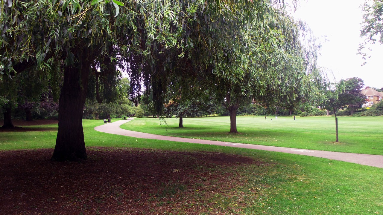 Photo of Outdoor in Arnos Grove