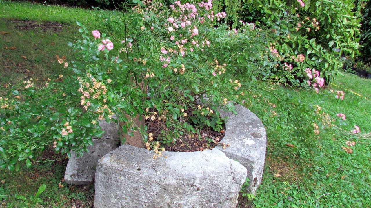 Photo of Outdoor in La Bastide