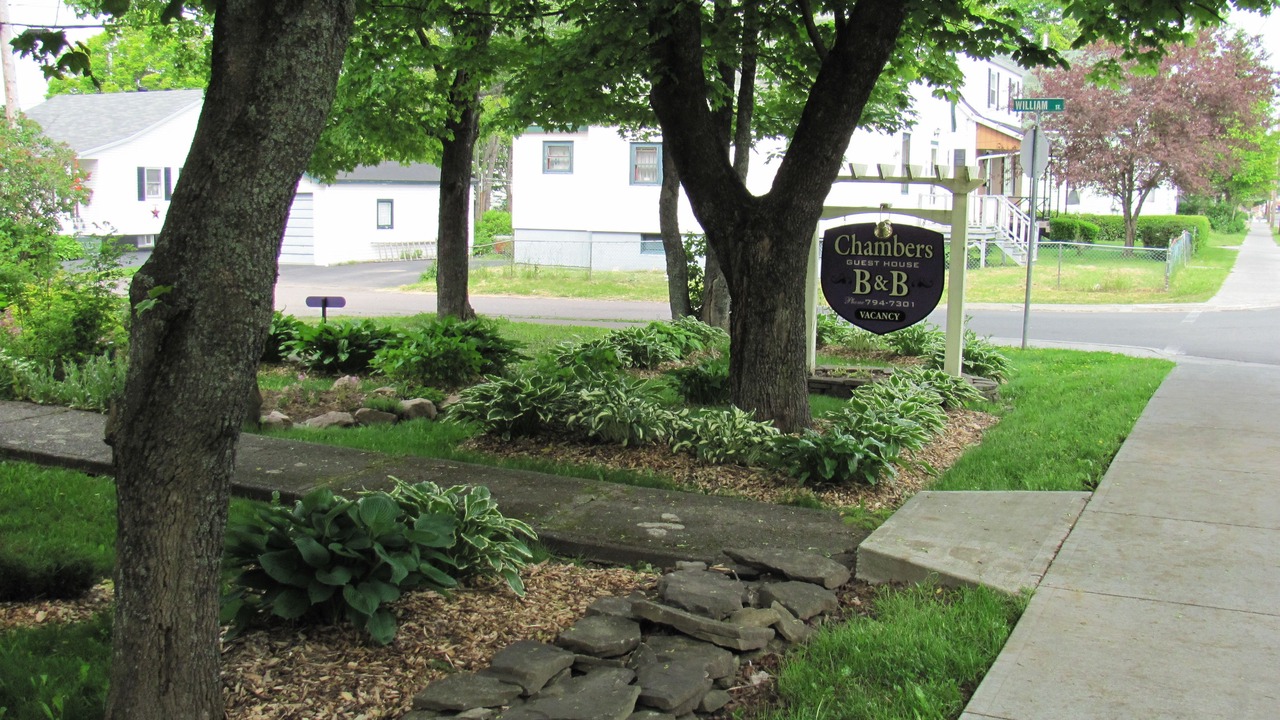 Photo of Outdoor in North Sydney