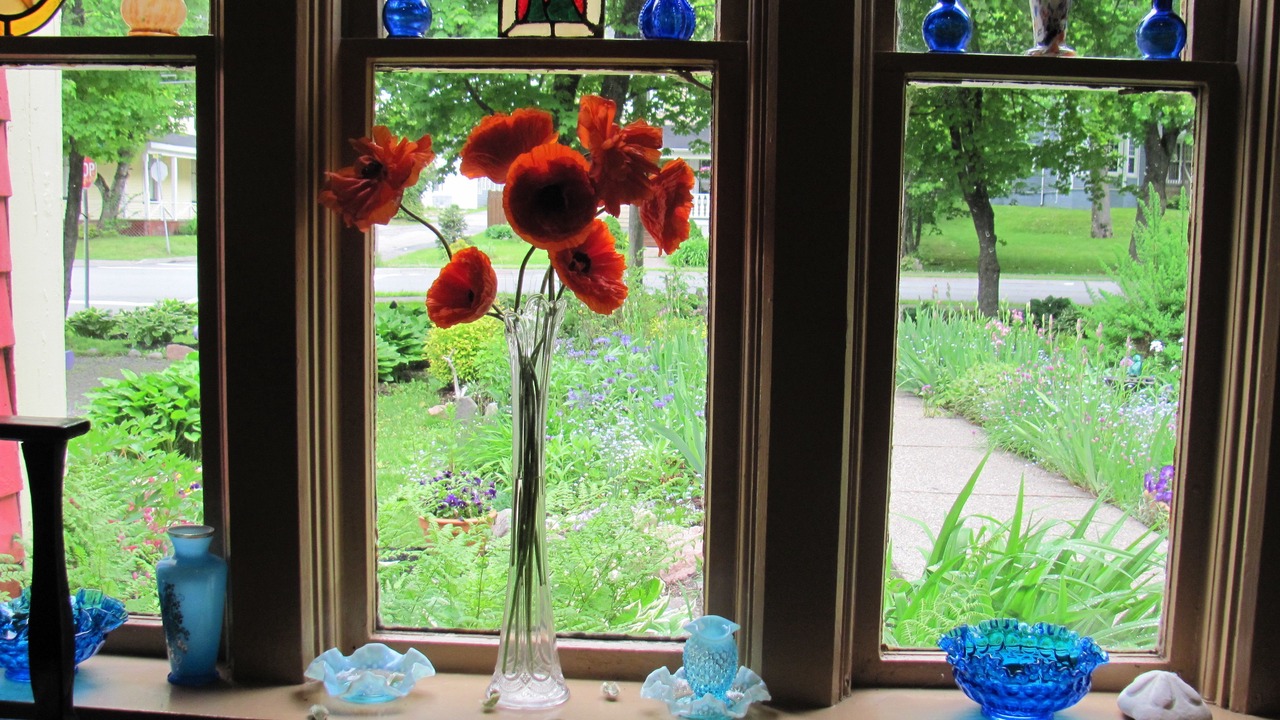 Photo of Others in North Sydney