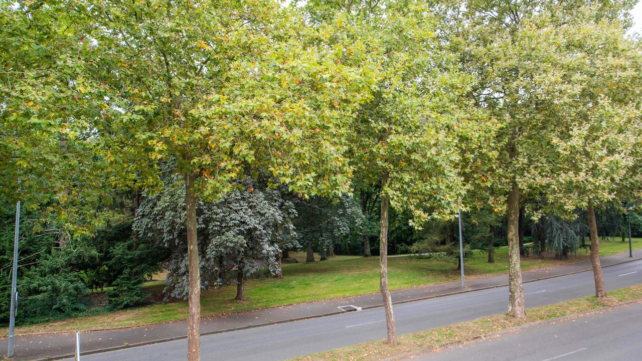Photo of Others in Cholet
