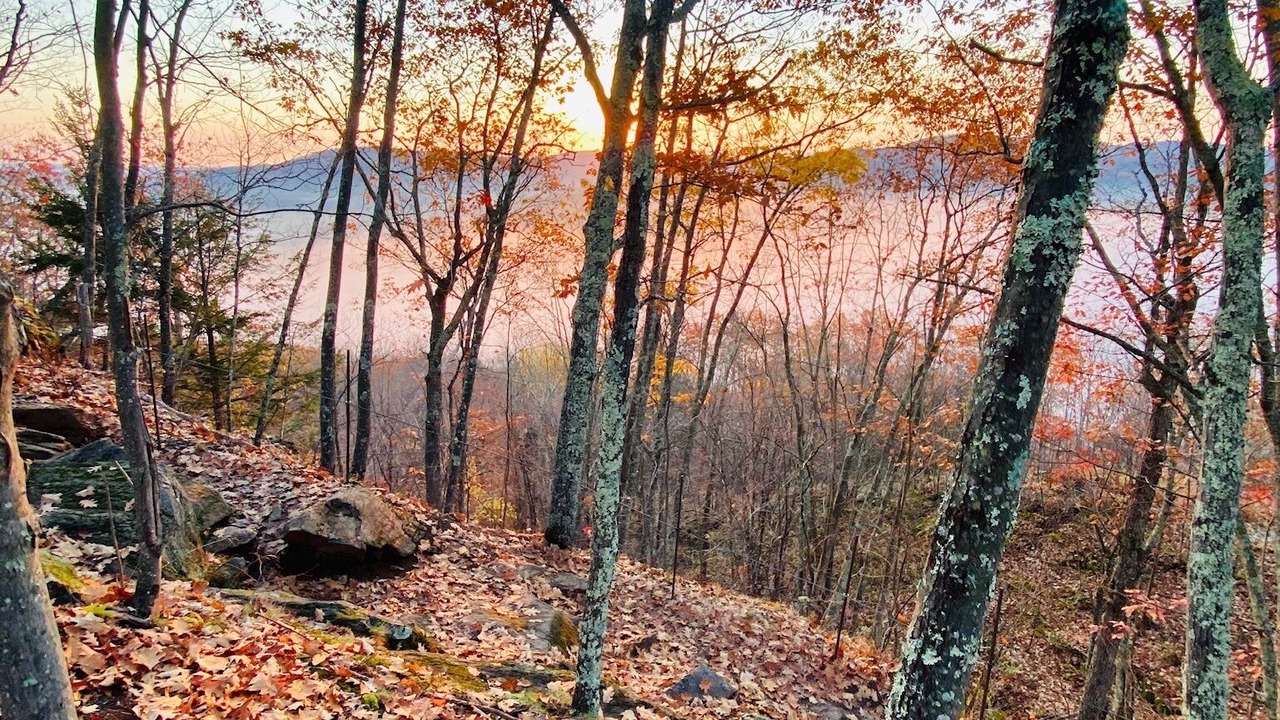 Photo of Outdoor in Woodstock