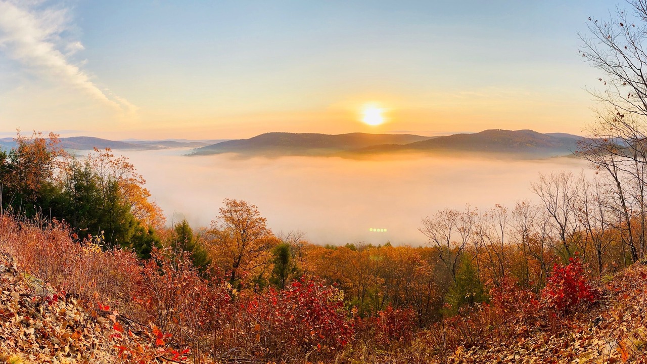 Photo of Outdoor in Woodstock