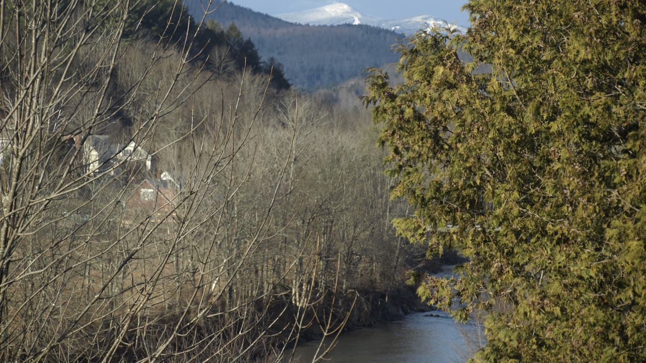 Photo of Others in Woodstock