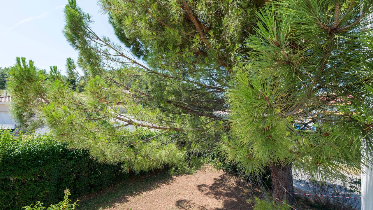 Photo of Outdoor in Les Tourrettes