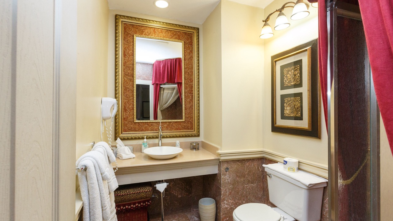 Photo of Bathroom in Mexican War Streets